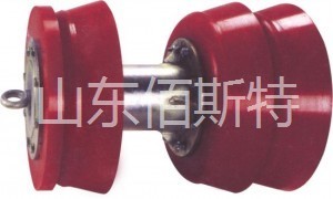 9I看片成人免费视频清管器